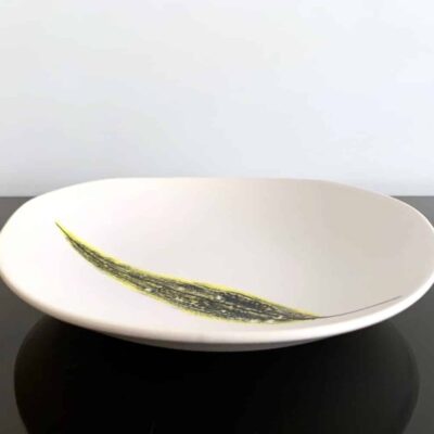 Assiettes plume vue courbure